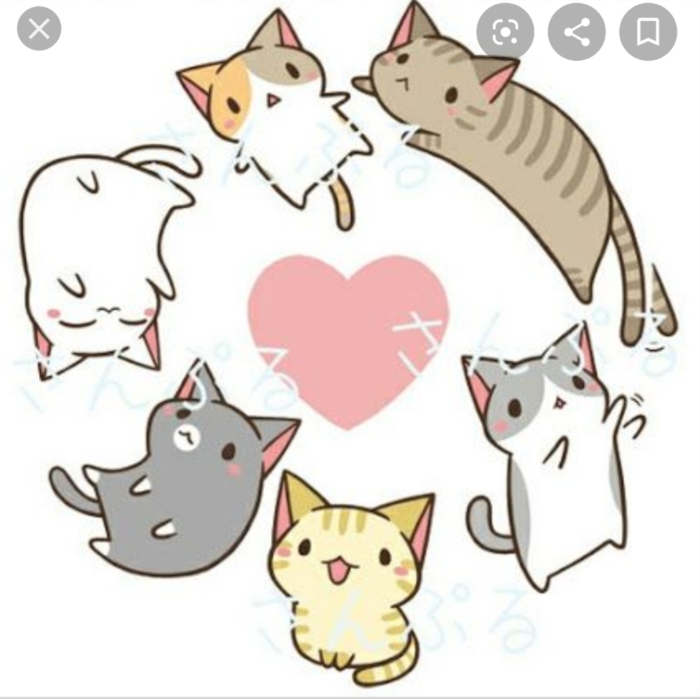 PET FRIENDLY HOME 🐈🐶🐾